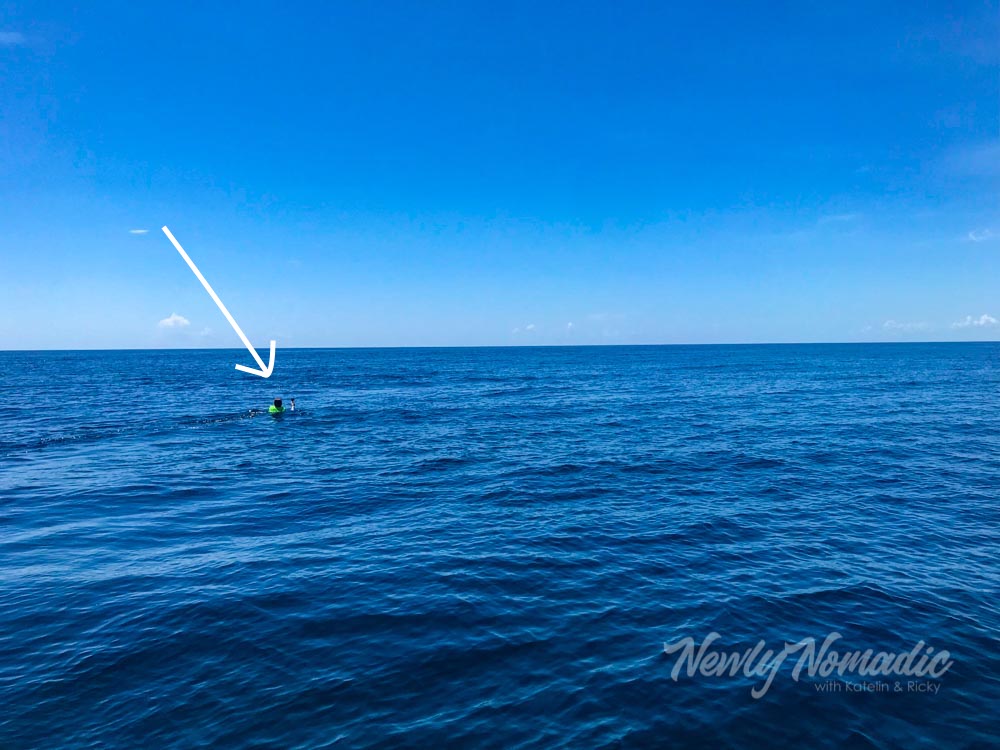 Ricky out in the open water looking for dolphins