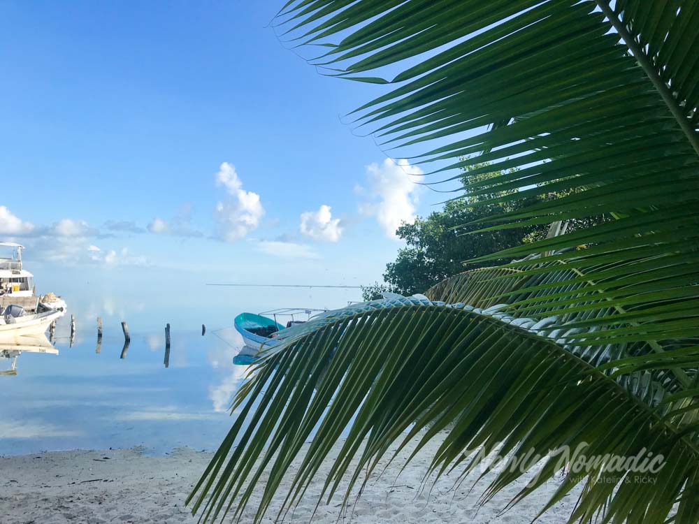 The marina where we boarded the boat was tucked away off a dirt road away from the bustling city of Cancun. Surrounded by palm trees, it was absolutely beautiful.