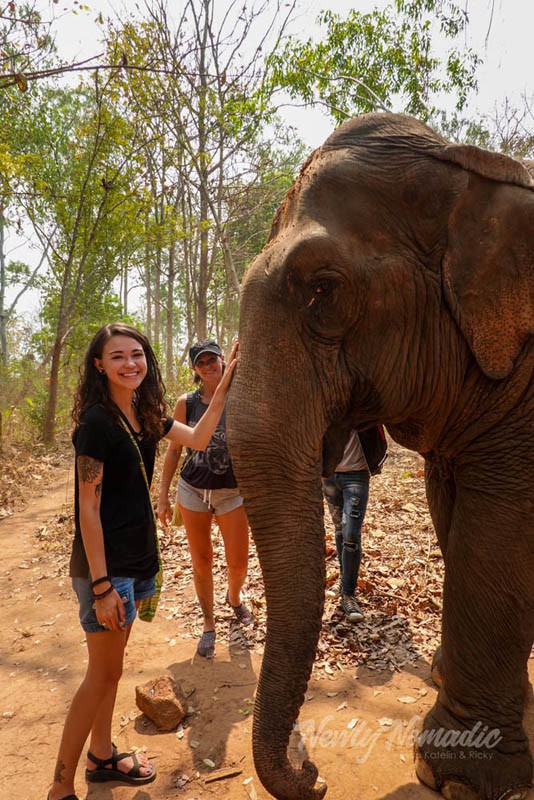 We had such a great time hanging out with these gentle giants.